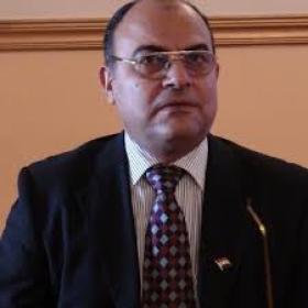 لطفي الشربيني