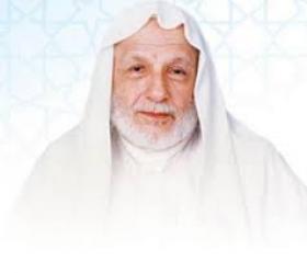 علي الطنطاوي