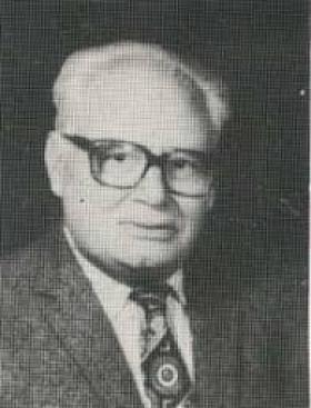 حسن حبشي