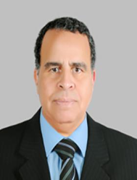 محمد مؤنس عوض