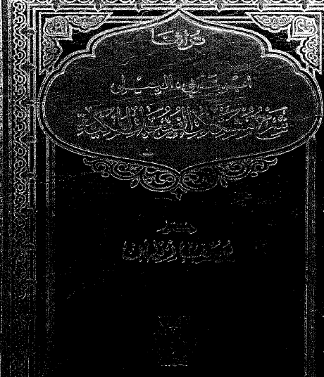 شرح مشكلات الفتوح المكية