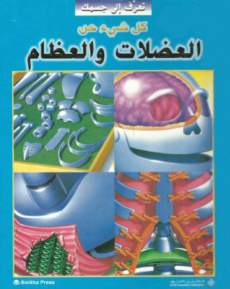 كل شيء عن العضلات والعظام