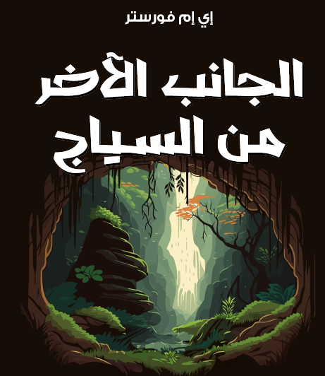 الجانب الآخر من السياج