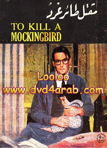 مقتل طائر غرد