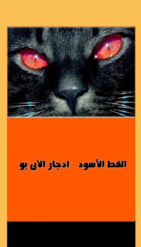 القط الأسود