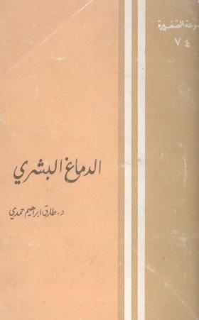 الدماغ البشري